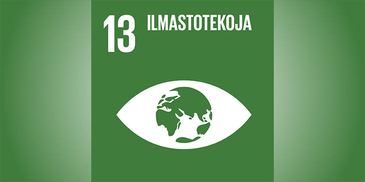 Sustainable goal no. 13